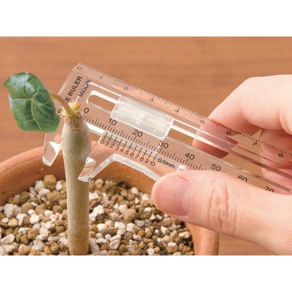 MIDORI CL Thickness Ruler Transparent