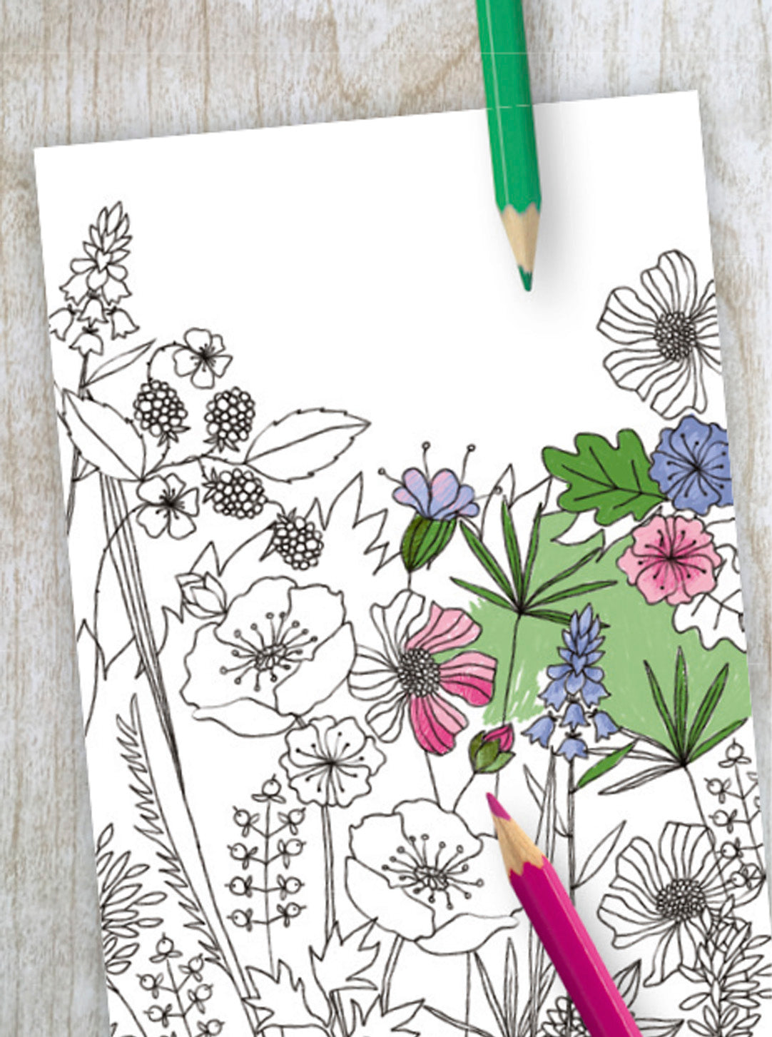 CLAIREFONTAINE FEELGOOD Creativ book Wild Flowers