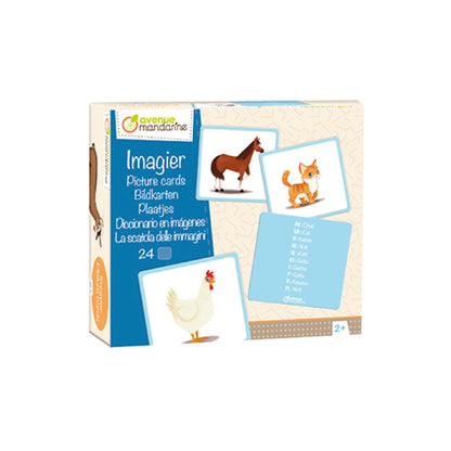 AVENUE MANDARINE Picture Cards Domestic Animals 1206769