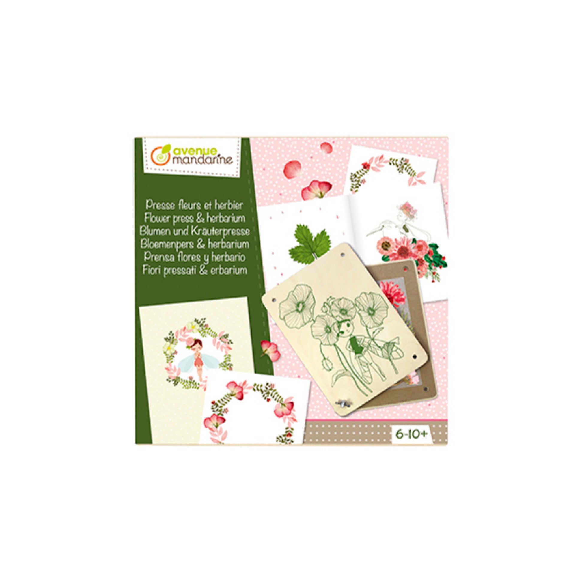 AVENUE MANDARINE Creative Box Pressed Flowers Herbarium