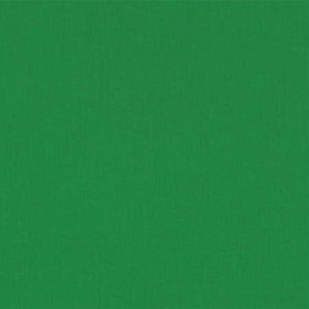 CLAIREFONTAINE Crepe Paper Roll 75% 2.5x0.5M Empire Green