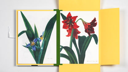 PEPIN Art Portfolios Flower Prints