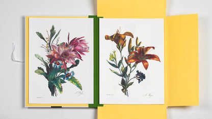 PEPIN Art Portfolios Flower Prints