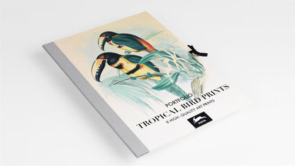 PEPIN Art Portfolios Tropical Birds