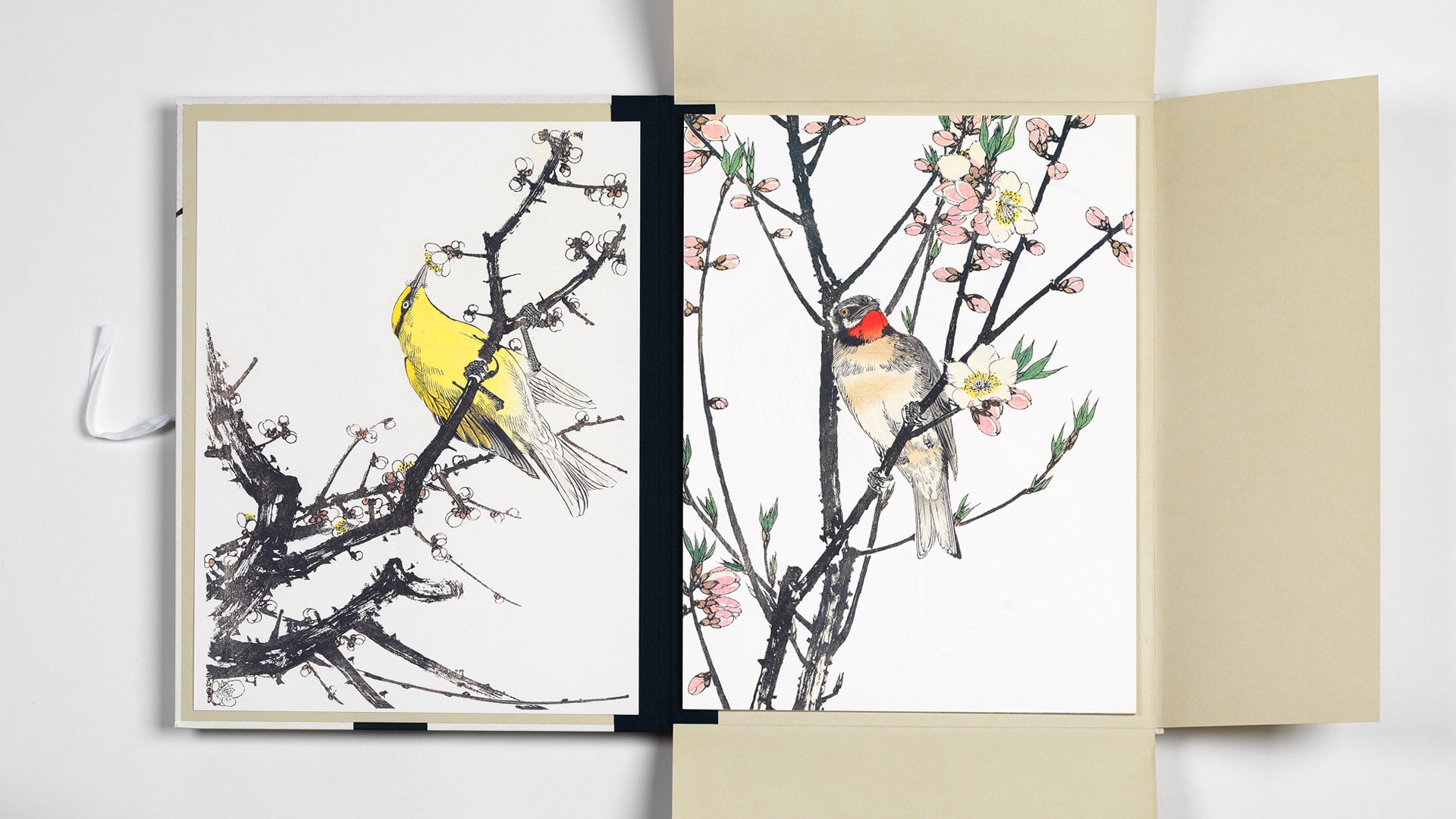 PEPIN Art Portfolios Japanese Bird Prints