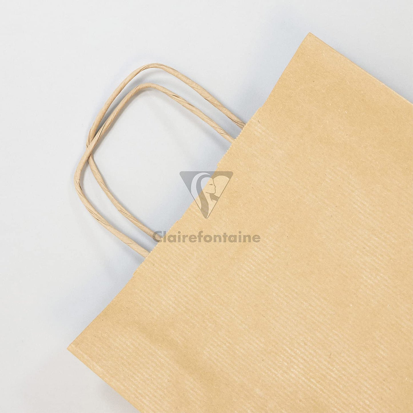 CLAIREFONTAINE Kraft Bags Plain Kraft 90g 22x10x29cm Brown 1s