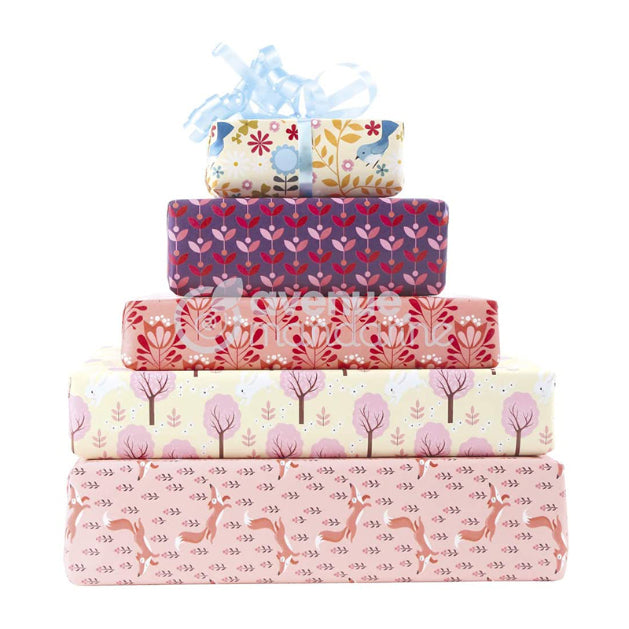 AVENUE MANDARINE Wrapping Paper Books 43x60cm 12s Girl 1216825