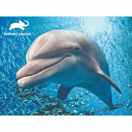 ANIMAL PLANET Jigsaw Puzzle 48pc Dolphin Default Title