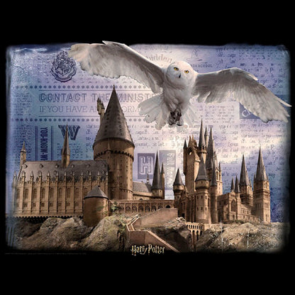 HARRY POTTER Puzzle 300pc Hogwarts and Hedwig Default Title