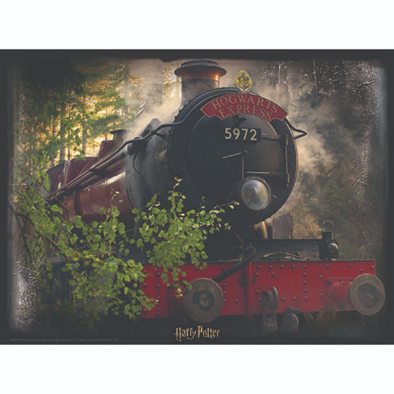 HARRY POTTER Puzzle 300pc The Hogwarts Express Default Title