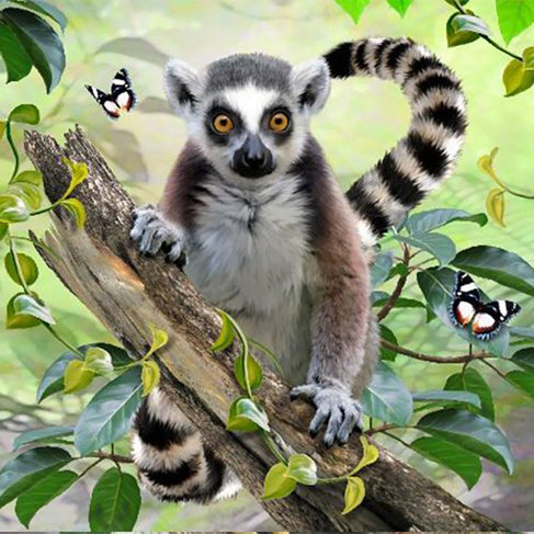 HOWARD ROBINSON Super 3D Kids Puzzle 48pc Lemur Default Title