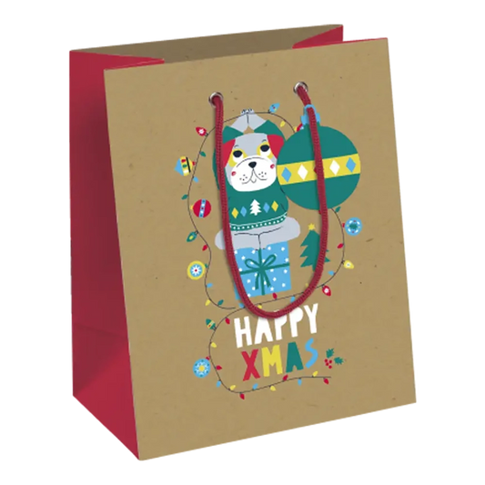 CLAIREFONTAINE Gift Bag Pocket 17x6x22cm Make A Wish