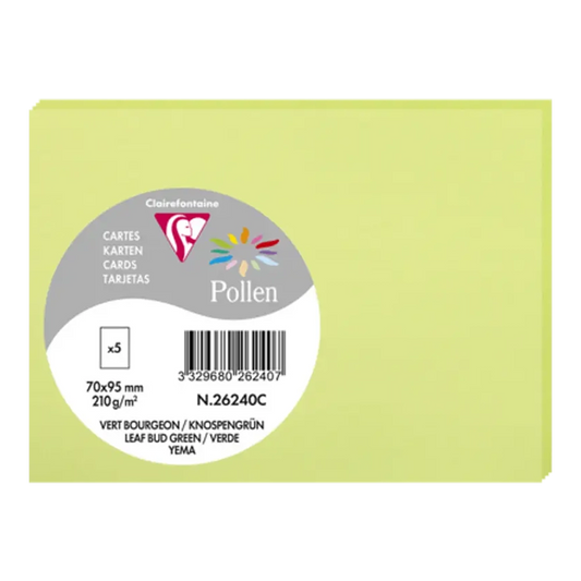 POLLEN Envelopes 120g 70x95mm Leaf Bud Green 5s