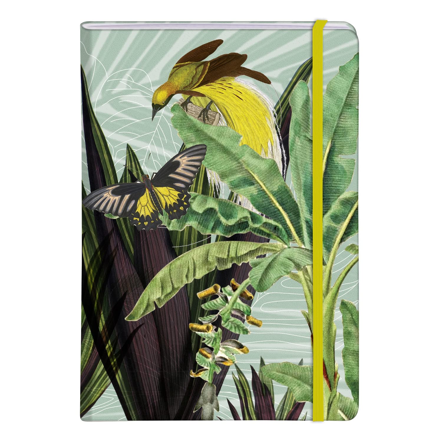 CLAIREFONTAINE x Jungle Harmony Hardcover Notebook A5 48s Lined Hummingbird