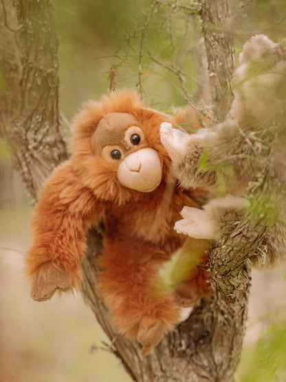 WWF Plush 23cm Orang Utan Default Title