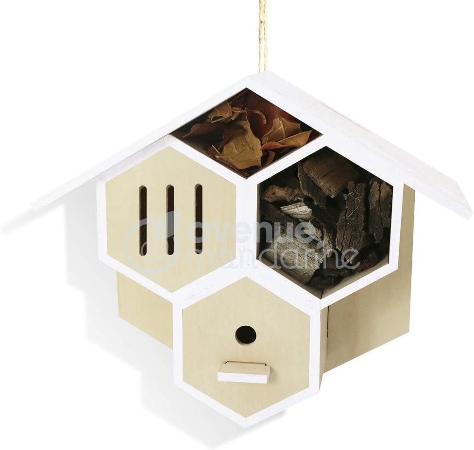 AVENUE MANDARINE Creative Box Bug House To BUild