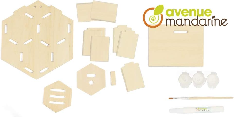 AVENUE MANDARINE Creative Box Bug House To BUild