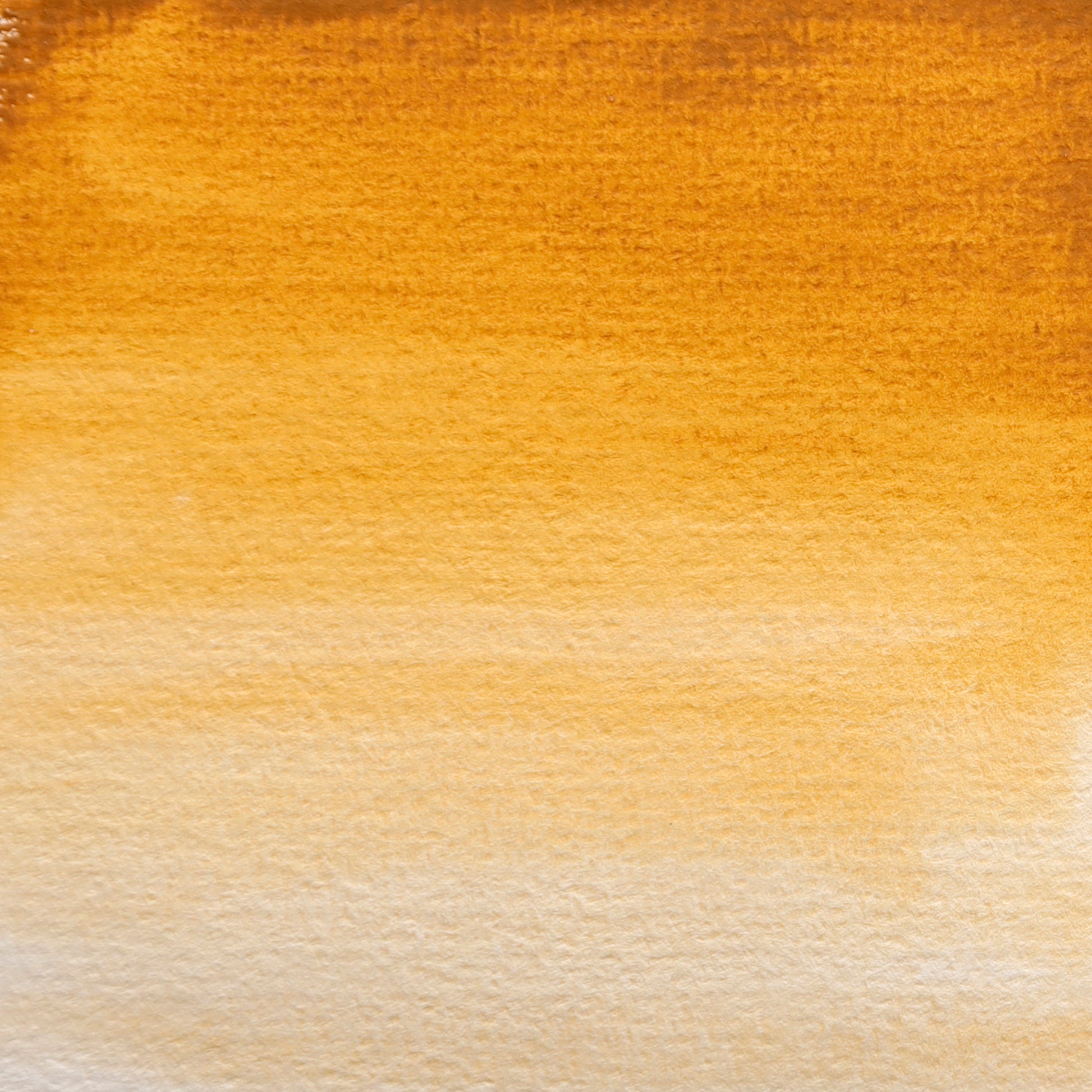 BLOCKX Artists' Watercolour Half Pan 1.5ml Golden Ochre