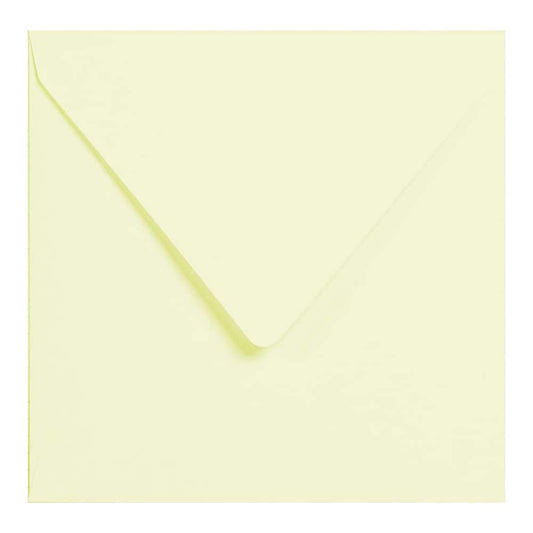 POLLEN Grain Envelopes 120g 165x165mm Lime Juice 20s