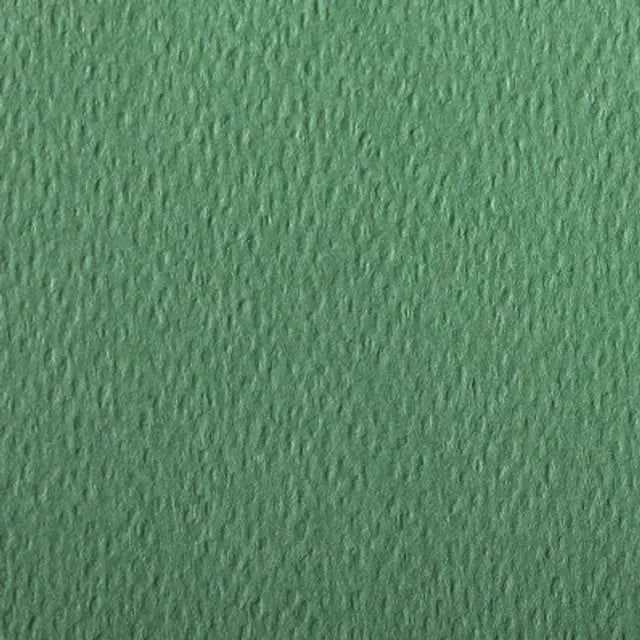 CLAIREFONTAINE Etival Coloured Paper A4 160g 25s Deep Green