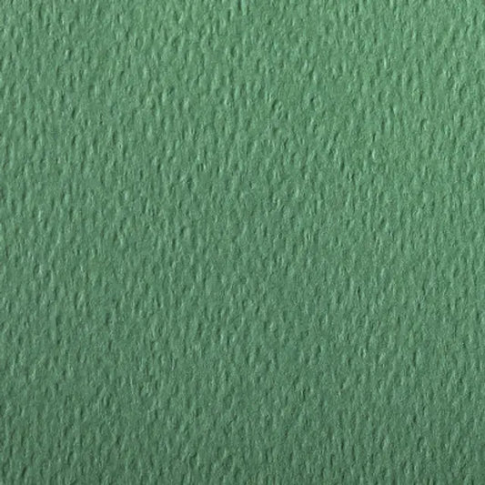 CLAIREFONTAINE Etival Coloured Paper A4 160g 25s Deep Green