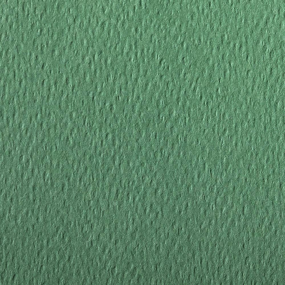 CLAIREFONTAINE Etival Coloured Paper 50x65cm 160g 24s Deep Green