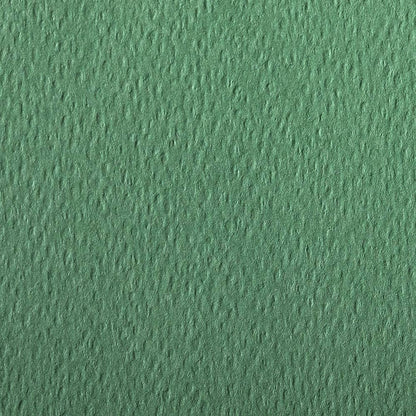 CLAIREFONTAINE Etival Coloured Paper 50x65cm 160g 24s Deep Green