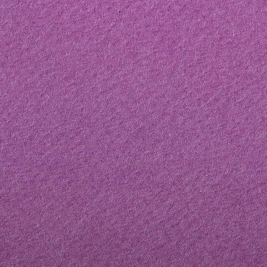 CLAIREFONTAINE Etival Coloured Paper 50x65cm 160g 24s Purple