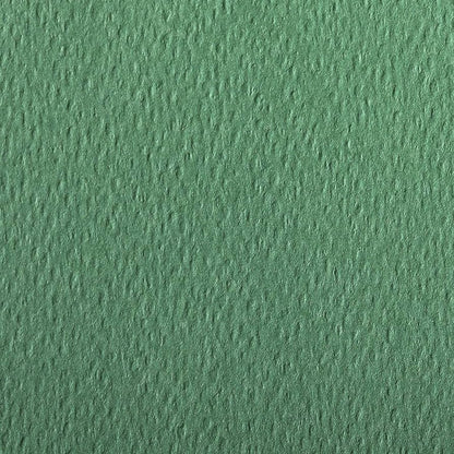 CLAIREFONTAINE Etival Coloured Paper A3 160g 25s Deep Green