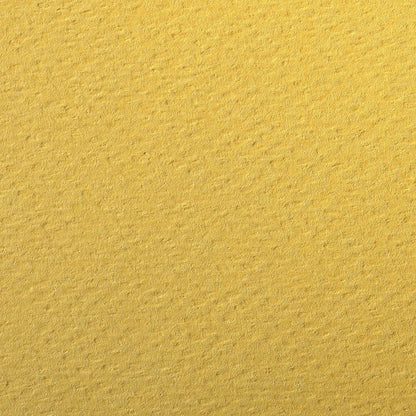 CLAIREFONTAINE Etival Coloured Paper A3 160g 25s Buttercup