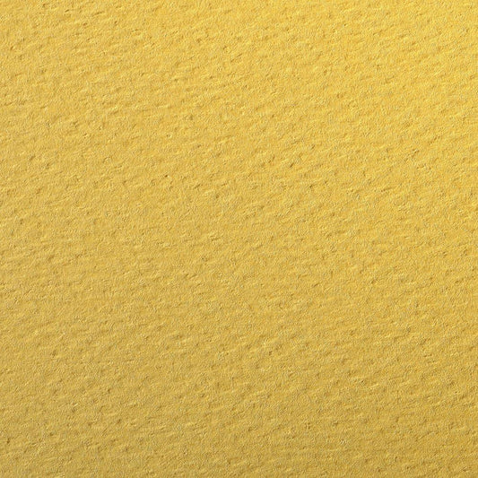 CLAIREFONTAINE Etival Coloured Paper A3 160g 25s Buttercup