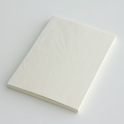 MIDORI MD Notebook A5 Blank A