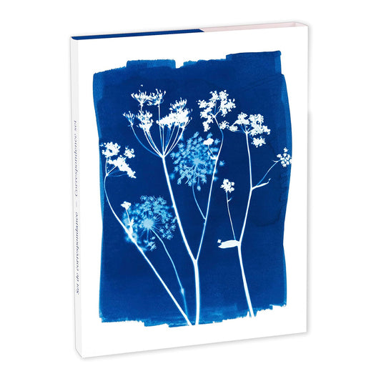 CLAIREFONTAINE x Cyanotype Correspondence Set