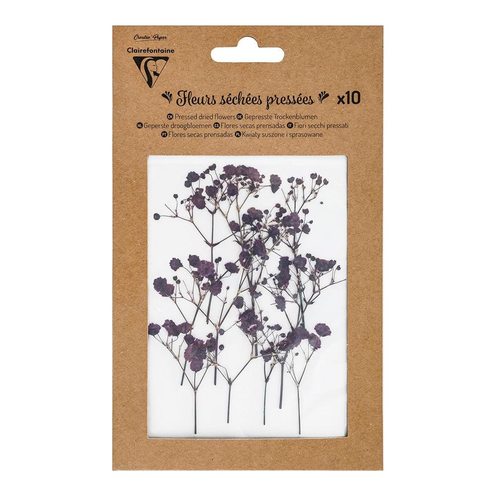 CLAIREFONTAINE Pressed Dried Flowers 10s Lavender