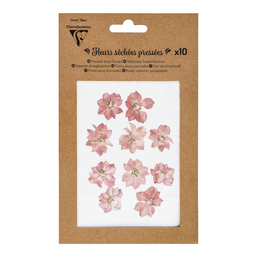 CLAIREFONTAINE Pressed Dried Flowers 10s Pink