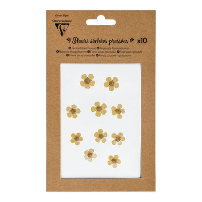 CLAIREFONTAINE Pressed Dried Flowers 10s Yellow