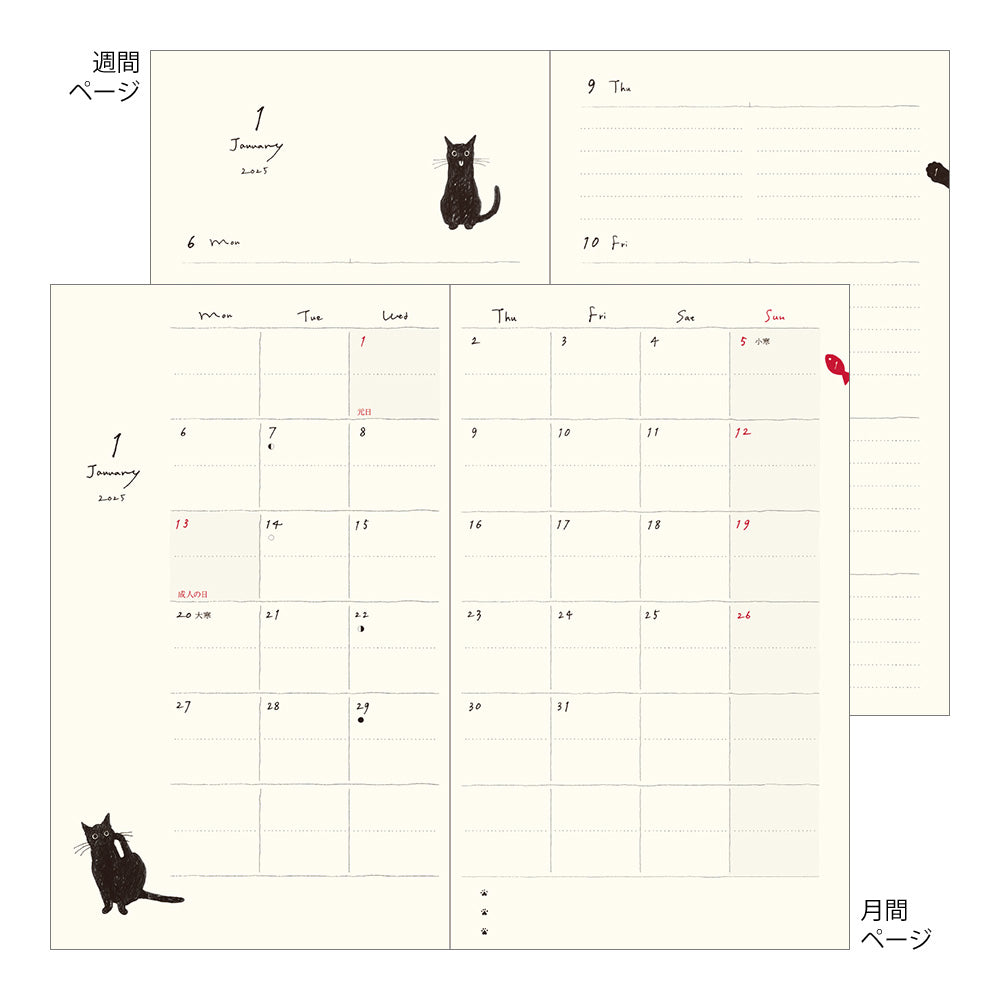 MIDORI 2025 Diary Book Type B6 Variant Cat Beige