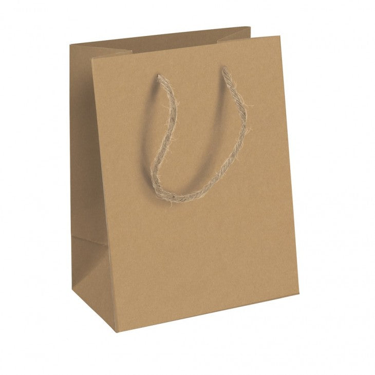 CLAIREFONTAINE Kraft Bags Brown 210g 21.5x10.2x25.3cm (Medium) 1s